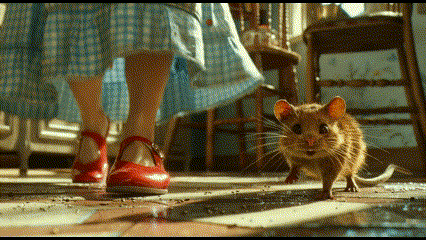 Film